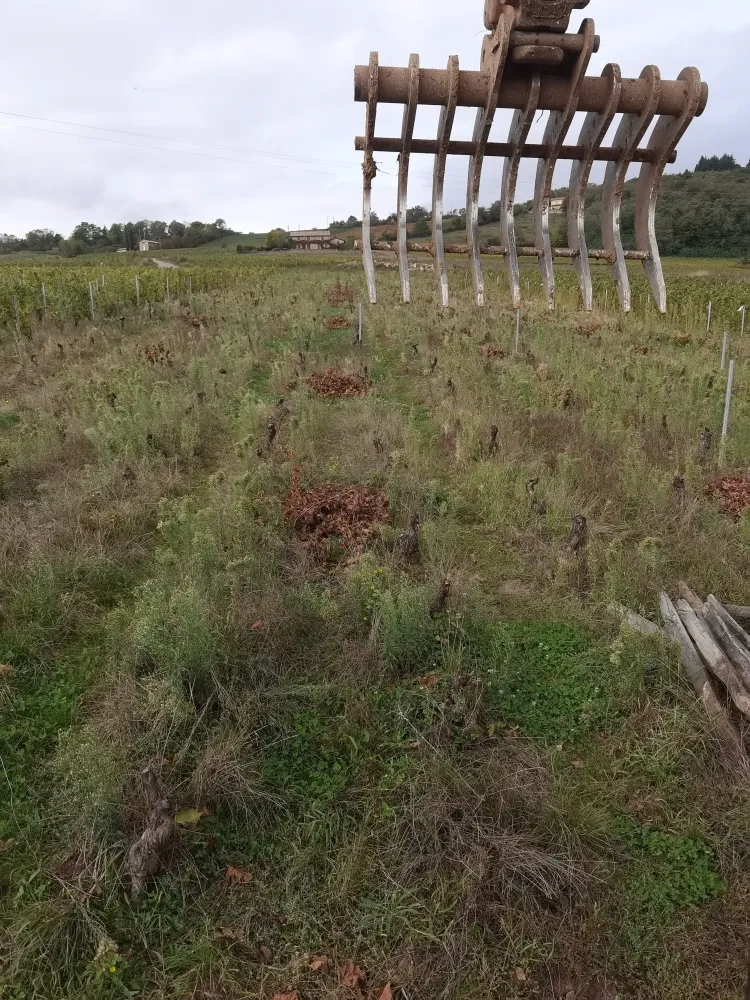 Prépration terrain vignes - Jérôme Guérin (4)
